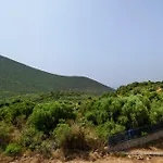 Olive Tree Horizon