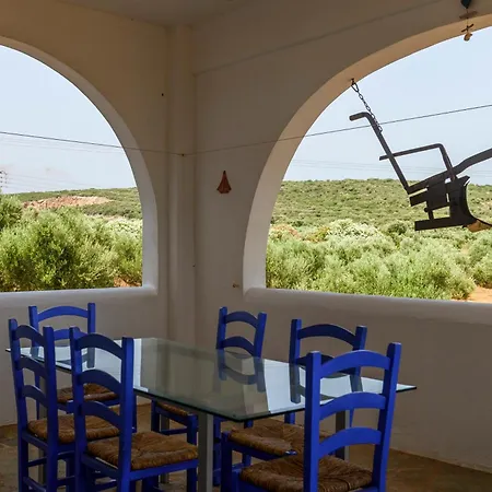 Olive Tree Horizon *