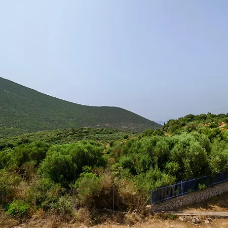 Olive Tree Horizon