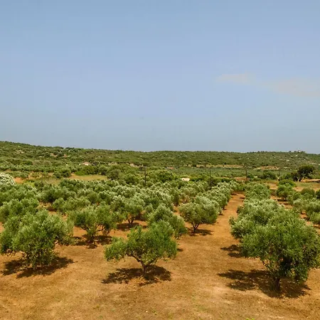 Дом отдыха Olive Tree Horizon Пилос