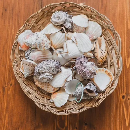 Olive Tree Horizon *