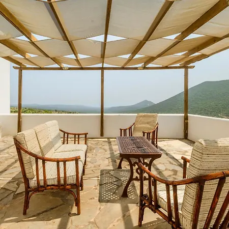 Olive Tree Horizon Prázdninový dům Pylos