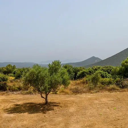 Olive Tree Horizon Ferienhaus *
