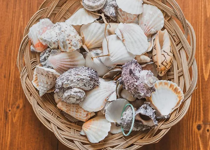 Olive Tree Horizon *