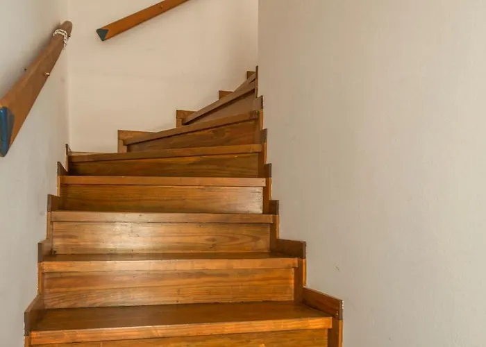 Olive Tree Horizon Дом отдыха Пилос