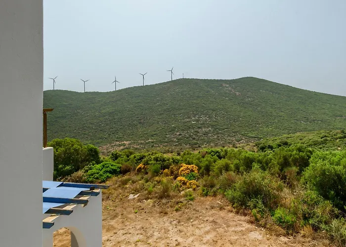 Olive Tree Horizon Дом отдыха *