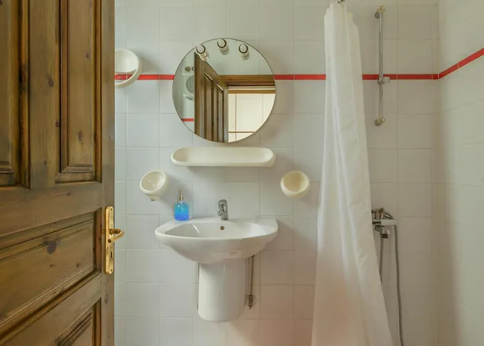 Olive Tree Horizon *