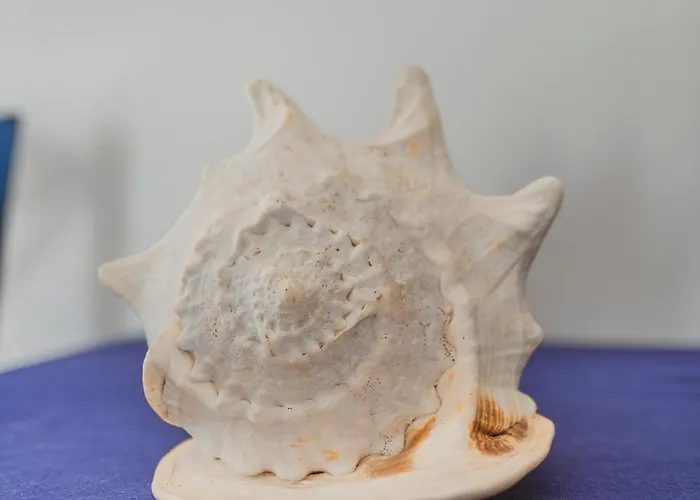 Σπίτι διακοπών Olive Tree Horizon