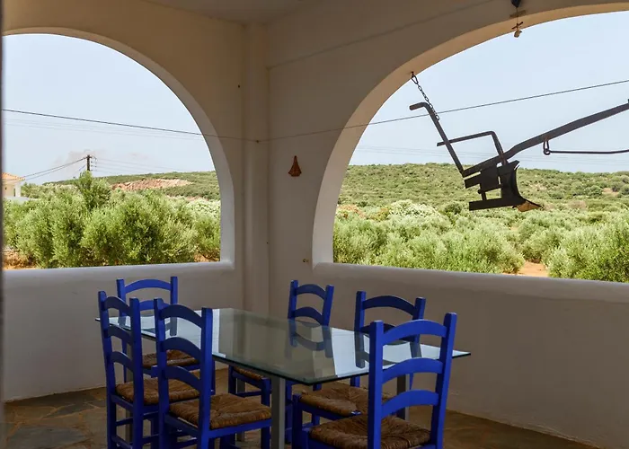 Olive Tree Horizon *