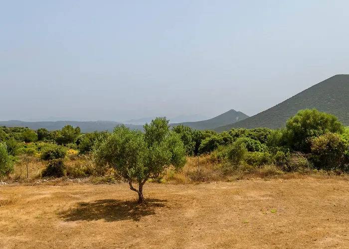 Olive Tree Horizon Дом отдыха *